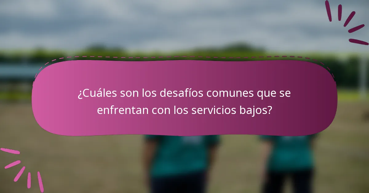 ¿Cuáles son los desafíos comunes que se enfrentan con los servicios bajos?